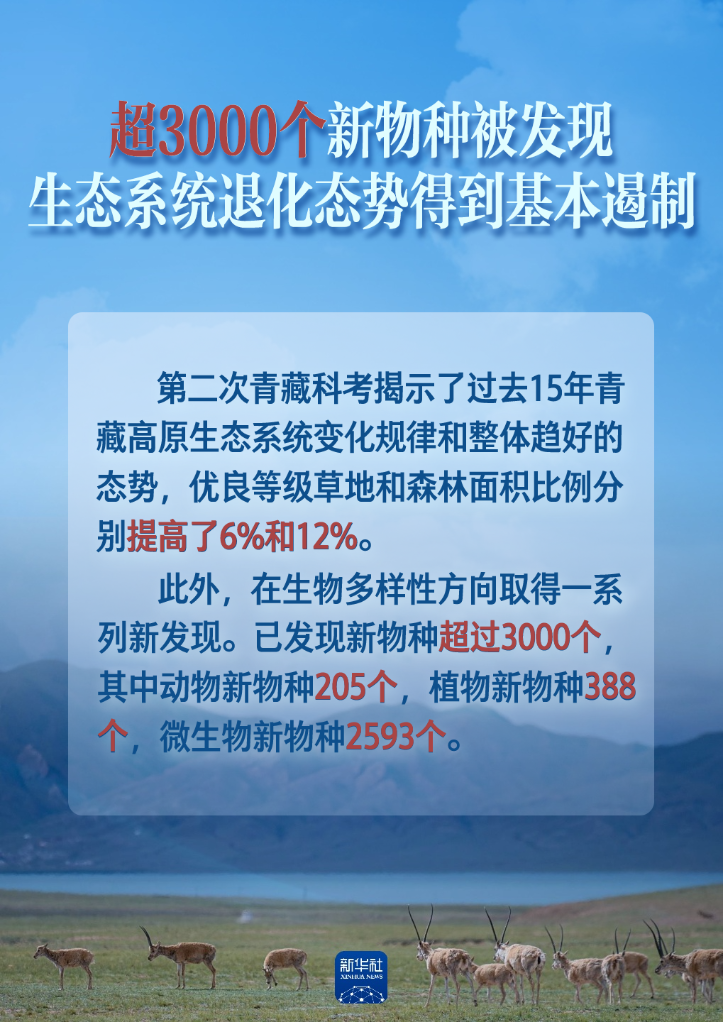 探索2025新澳正版免费资料大全——第095期及关键数字解析,2025新澳正版免费资料大全一一095期 06-10-15-16-21-26F：03