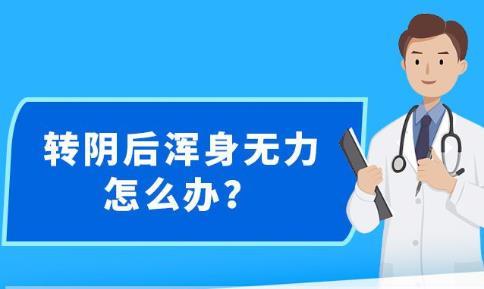 新澳精准资料解读，探索第086期的数字奥秘,新澳精准资料086期 06-22-28-38-40-49A：17