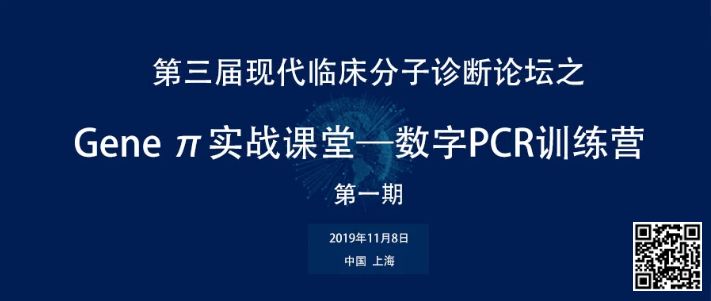 新澳门精准免费资料查看，探索第094期的数字奥秘（11-15-28-31-37-41M，02）,新澳门精准免费资料查看094期 11-15-28-31-37-41M：02