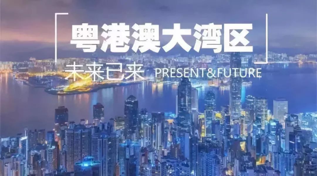 探索澳门正版图库恢复之旅，聚焦2025年第026期的独特魅力与数字密码,2025澳门正版图库恢复026期 06-16-25-28-37-48P：02