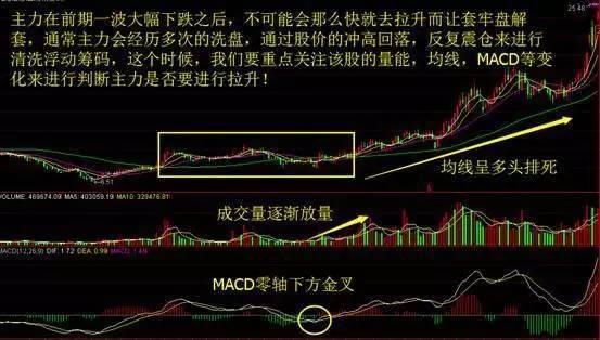 澳门今晚上开的特马067期，探索数字背后的秘密与期待,澳门今晚上开的特马067期 21-26-27-38-45-48S：11