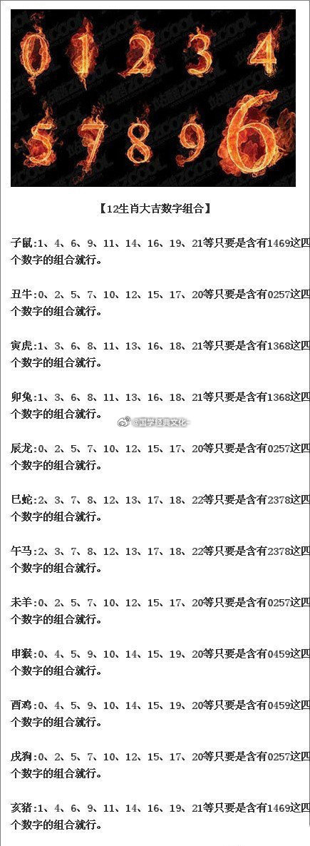 探索管家婆204年资料一肖的秘密，解读成龙088期数字组合之谜,管家婆204年资料一肖配成龙088期 06-31-19-37-02-45T：11