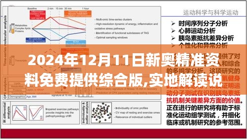 探索未来奥秘，解读新奥正版资料第146期之关键数字组合,2025新奥正版资料146期 12-16-25-28-43-49B：10