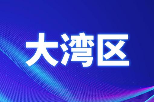 澳门2023年管家婆免费开奖大全第135期——深度解析与回顾,澳门2023管家婆免费开奖大全135期 08-10-26-28-31-47Q：25