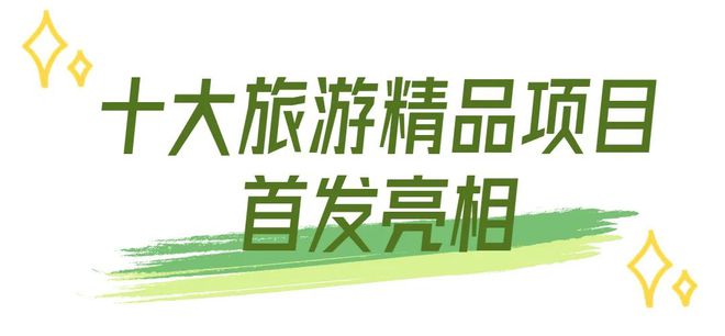 澳门管家婆002期揭秘，数字组合的魅力与策略,澳门管家婆002期 05-17-18-29-46-47Y：16